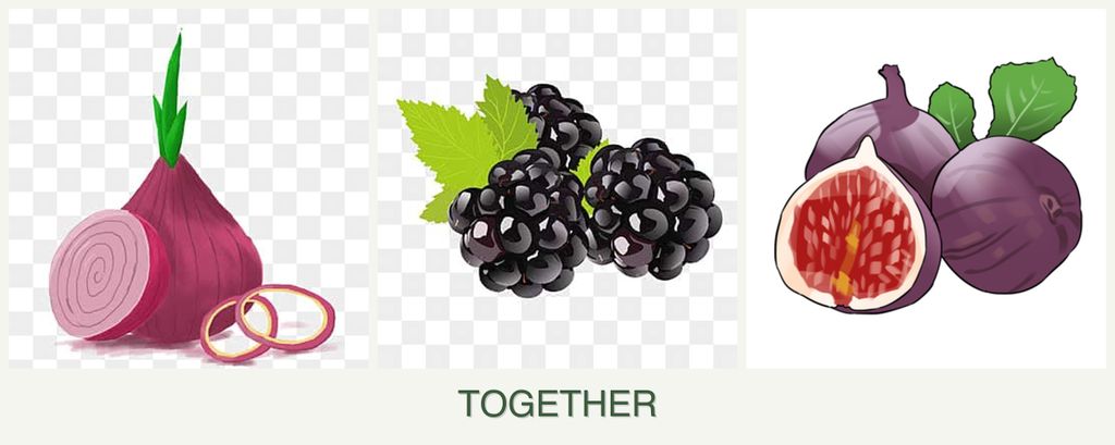 Can you plant onions, blackberries and figs together?