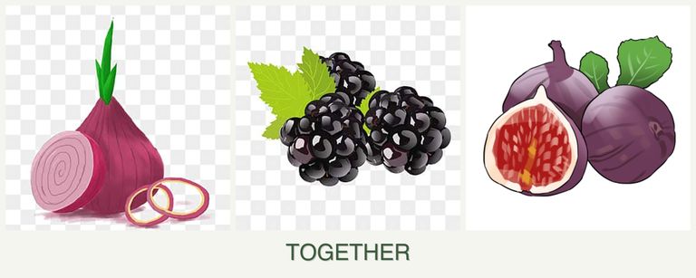 Can you plant onions, blackberries and figs together?