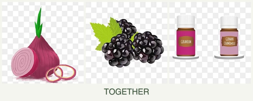 Can you plant onions, blackberries and geraniums together?