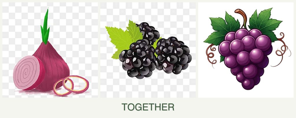 Can you plant onions, blackberries and grapes together?