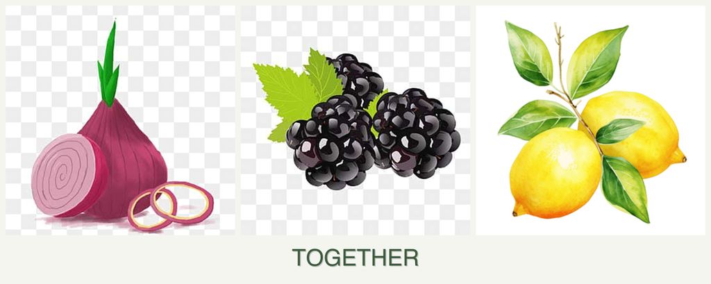 Can you plant onions, blackberries and lemons together?