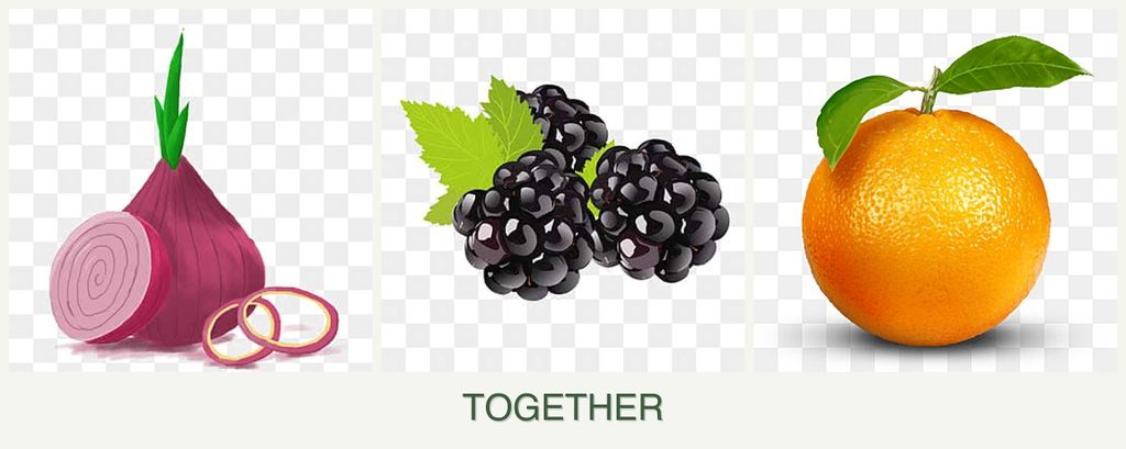 Can you plant onions, blackberries and oranges together?