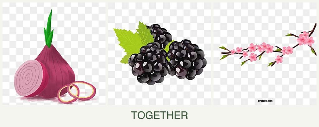 Can you plant onions, blackberries and peaches together?
