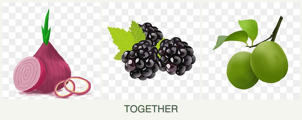 Can you plant onions, blackberries and plums together?