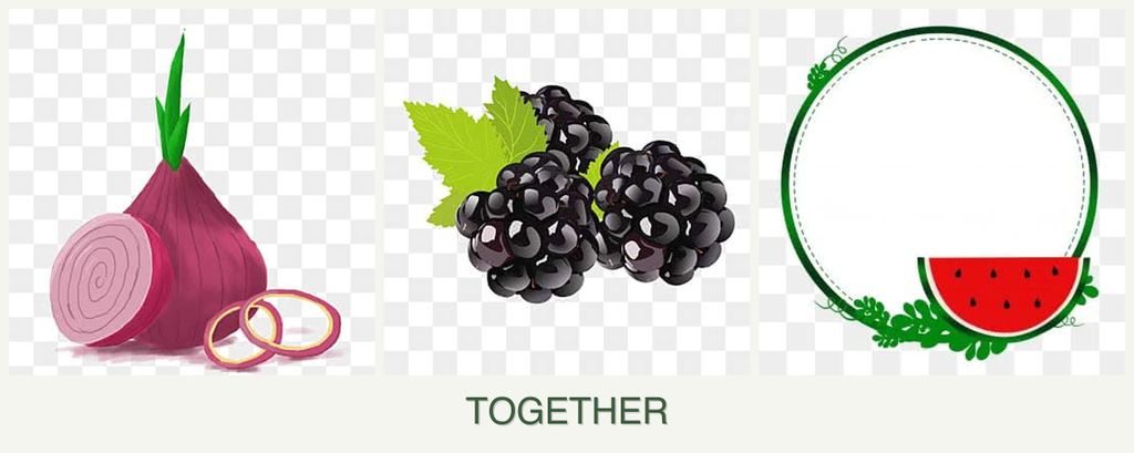 Can you plant onions, blackberries and watermelons together?