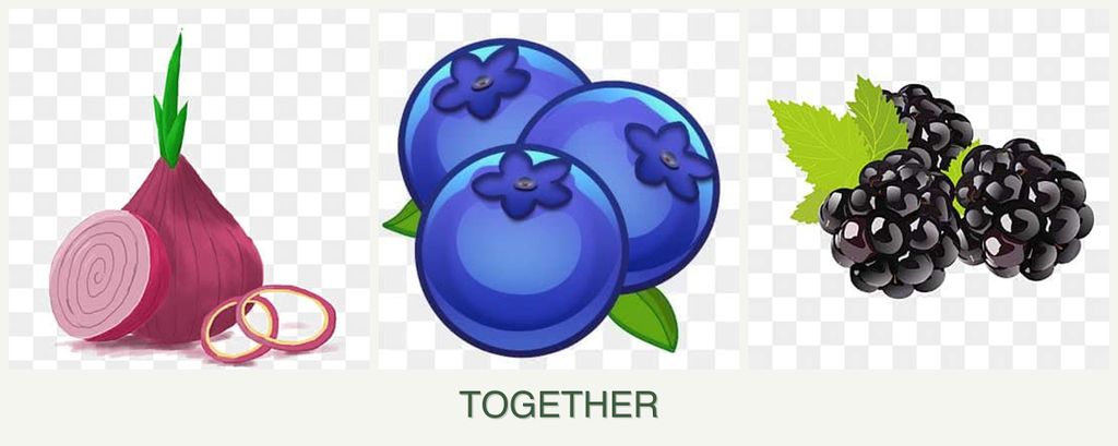 Can you plant onions, blueberries and blackberries together?