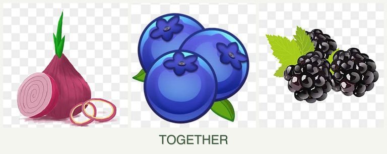 Can you plant onions, blueberries and blackberries together?