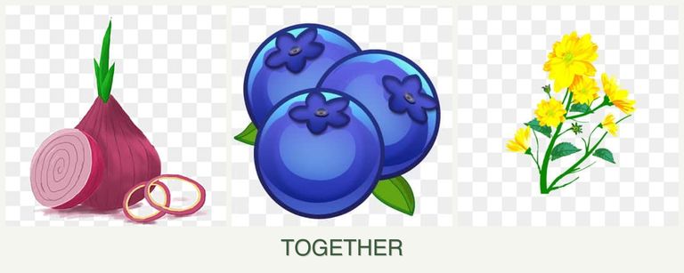 Can you plant onions, blueberries and calendula together?