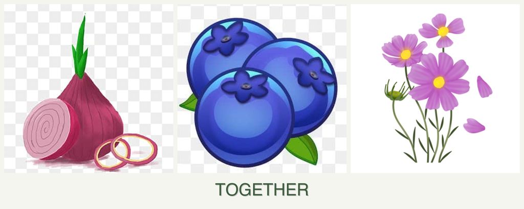 Can you plant onions, blueberries and cosmos together?