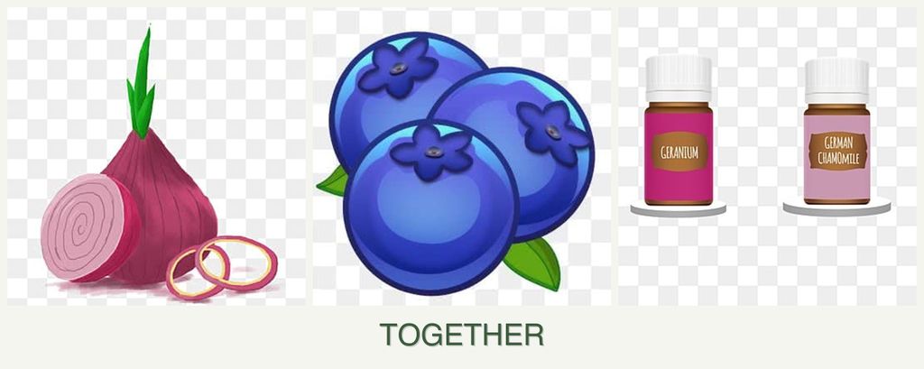 Can you plant onions, blueberries and geraniums together?