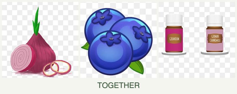 Can you plant onions, blueberries and geraniums together?