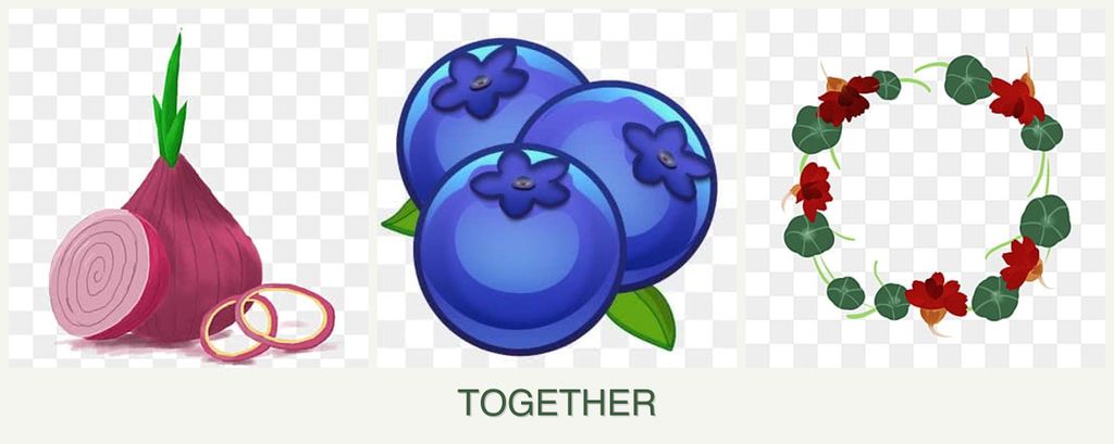 Can you plant onions, blueberries and nasturtiums together?