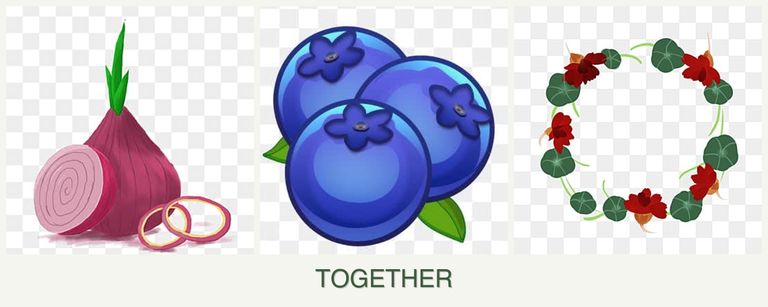 Can you plant onions, blueberries and nasturtiums together?