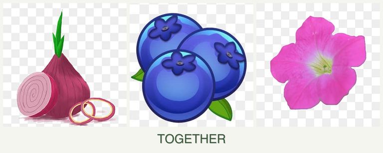 Can you plant onions, blueberries and petunias together?