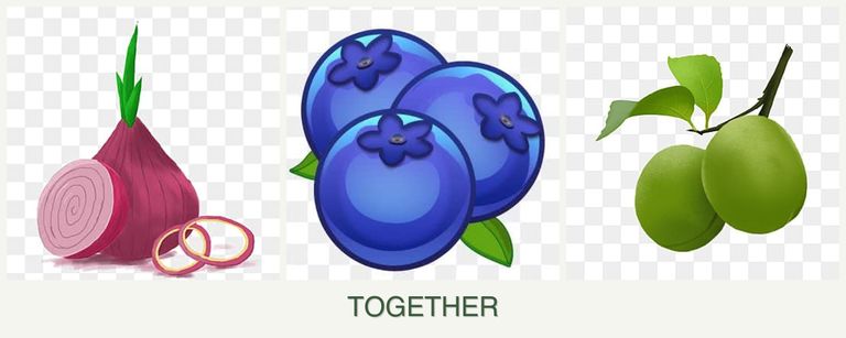 Can you plant onions, blueberries and plums together?