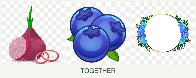 Can you plant onions, blueberries and zinnias together?