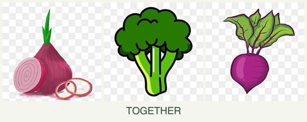Can you plant onions, broccoli and beets together?