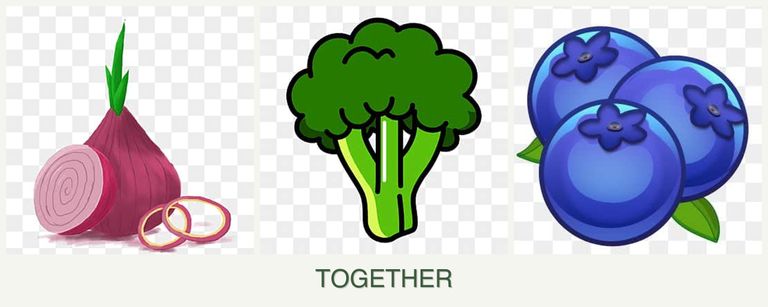 Can you plant onions, broccoli and blueberries together?