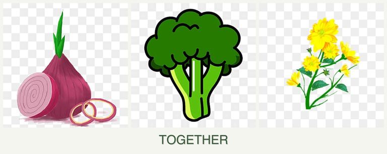 Can you plant onions, broccoli and calendula together?