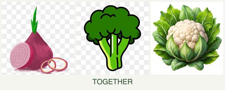 Can you plant onions, broccoli and cauliflower together?