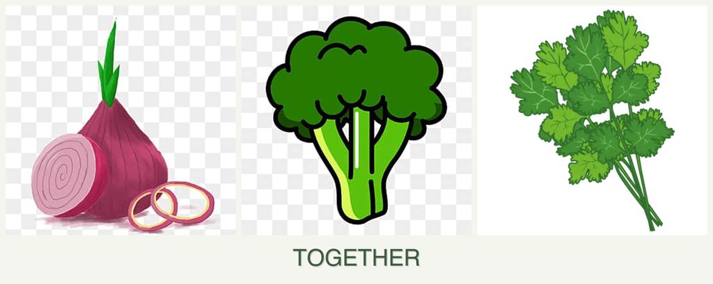 Can you plant onions, broccoli and cilantro together?