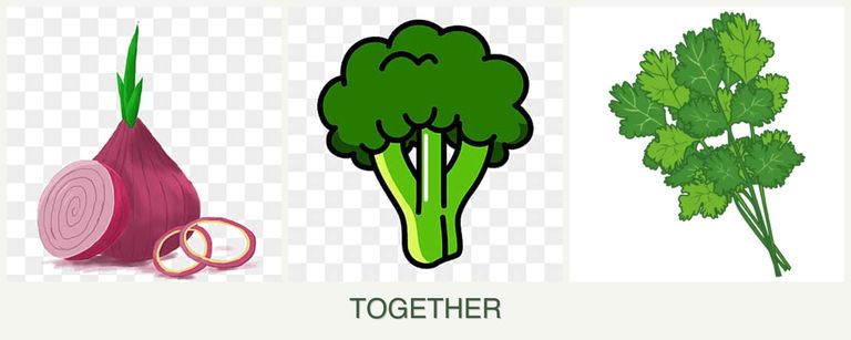 Can you plant onions, broccoli and cilantro together?