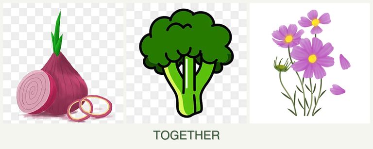 Can you plant onions, broccoli and cosmos together?