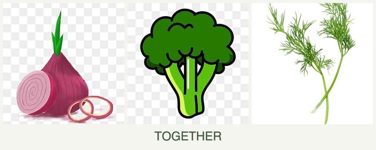 Can you plant onions, broccoli and dill together?