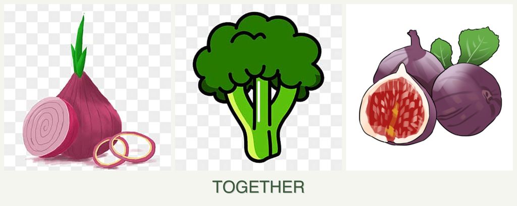 Can you plant onions, broccoli and figs together?