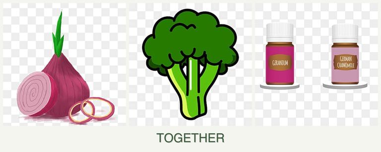 Can you plant onions, broccoli and geraniums together?
