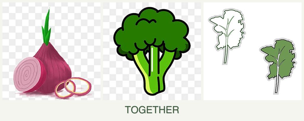 Can you plant onions, broccoli and kale together?