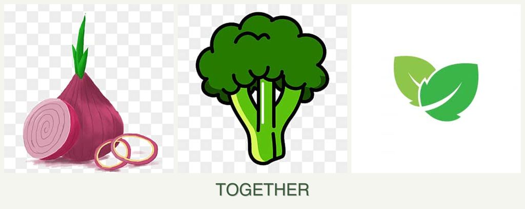 Can you plant onions, broccoli and mint together?