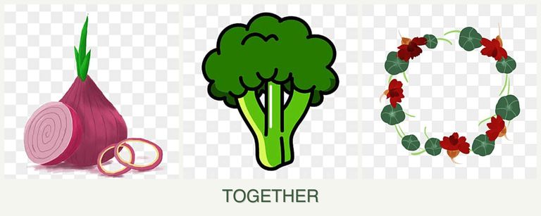 Can you plant onions, broccoli and nasturtiums together?
