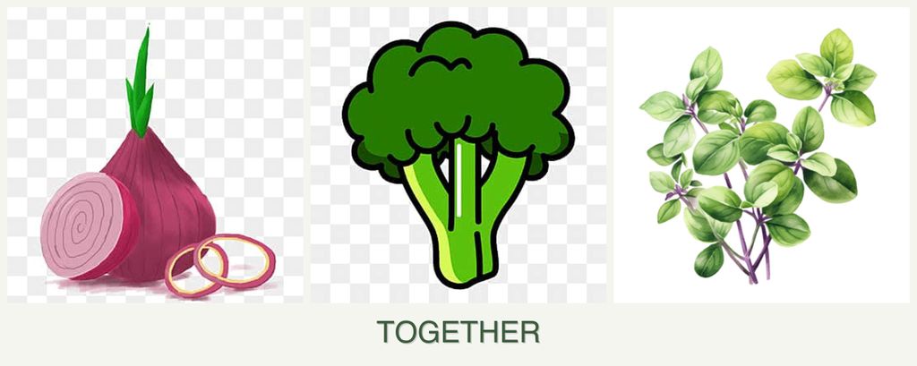 Can you plant onions, broccoli and oregano together?
