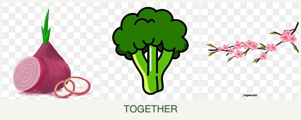 Can you plant onions, broccoli and peaches together?