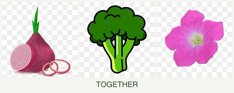 Can you plant onions, broccoli and petunias together?