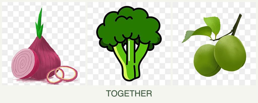 Can you plant onions, broccoli and plums together?