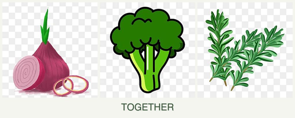 Can you plant onions, broccoli and rosemary together?