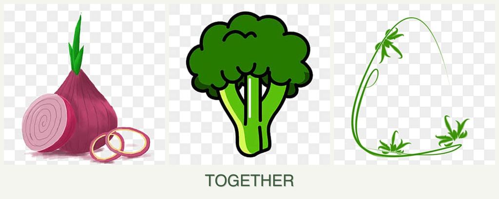 Can you plant onions, broccoli and tarragon together?