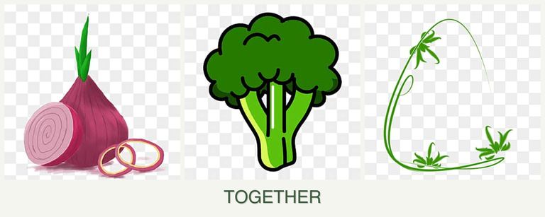 Can you plant onions, broccoli and tarragon together?