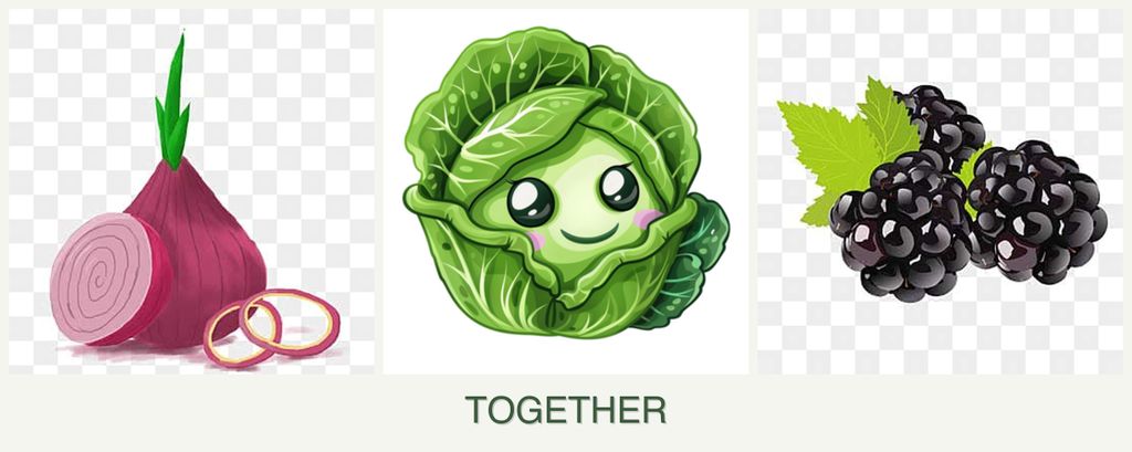 Can you plant onions, cabbage and blackberries together?
