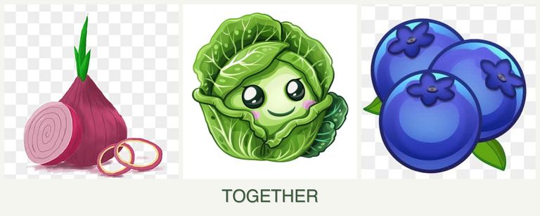 Can you plant onions, cabbage and blueberries together?