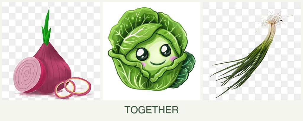 Can you plant onions, cabbage and chives together?