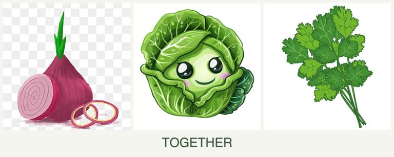 Can you plant onions, cabbage and cilantro together?