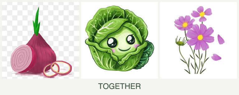 Can you plant onions, cabbage and cosmos together?