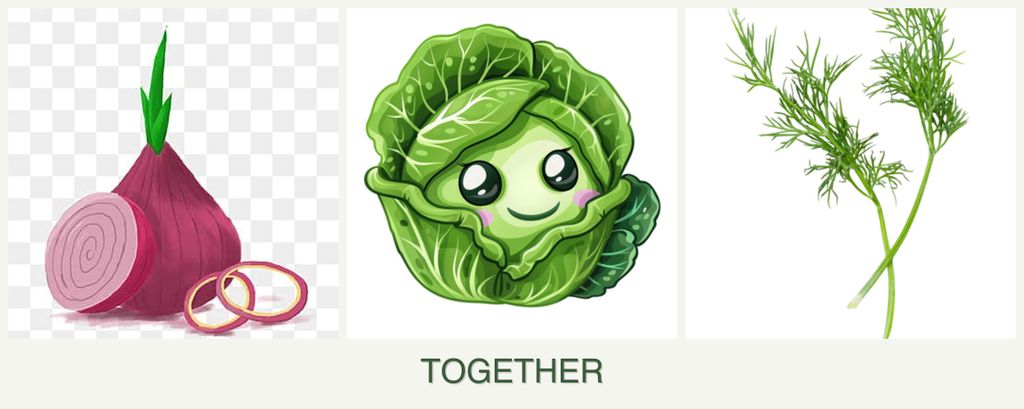 Can you plant onions, cabbage and dill together?
