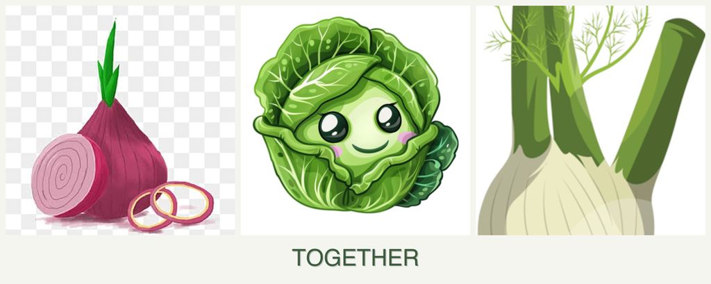 Can you plant onions, cabbage and fennel together?