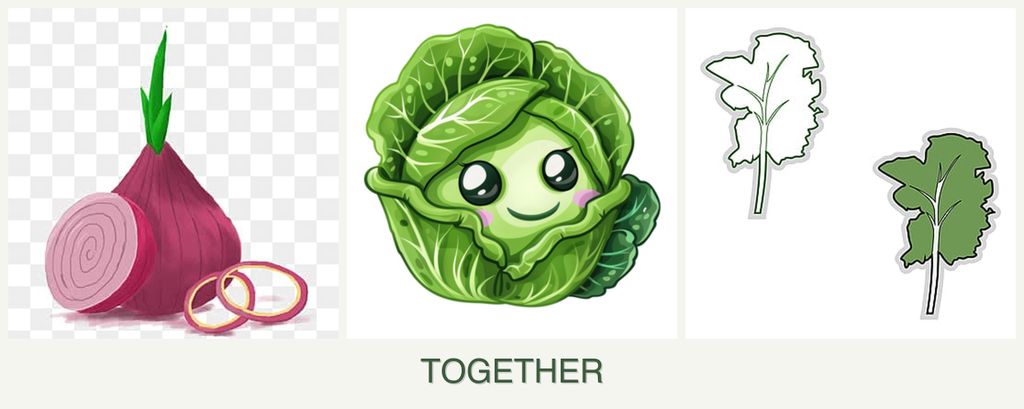 Can you plant onions, cabbage and kale together?