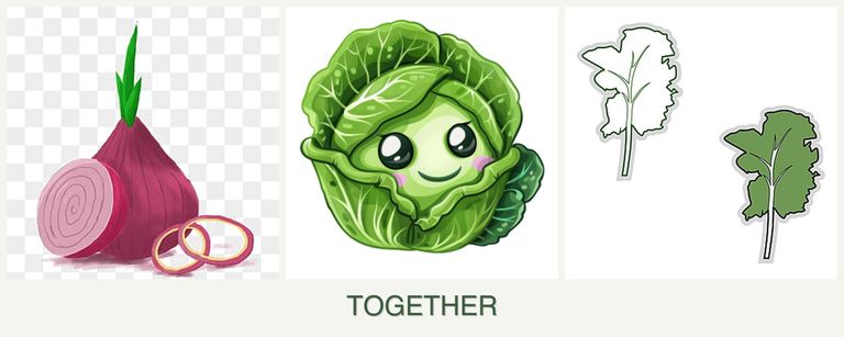 Can you plant onions, cabbage and kale together?