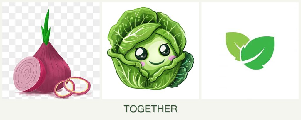 Can you plant onions, cabbage and mint together?